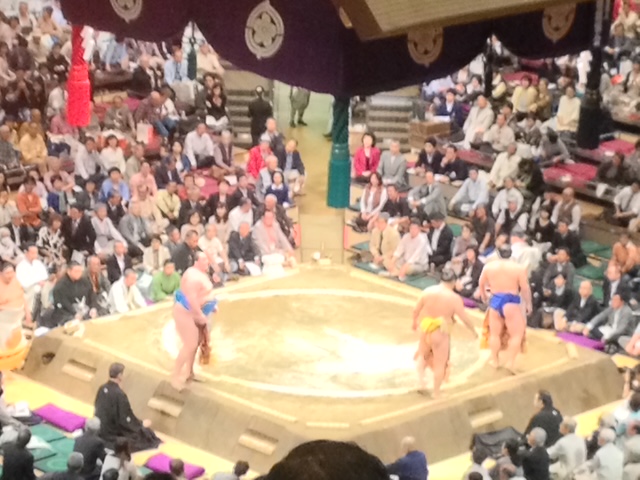 Sumo Wrestling